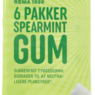 SPEARMINT GUM