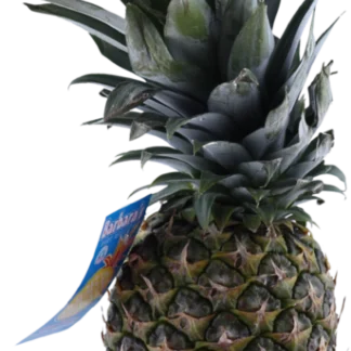 ANANAS