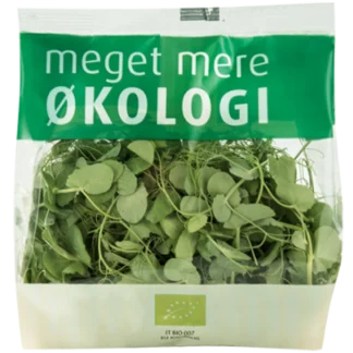 ØKO. ÆRTESKUD SALAT