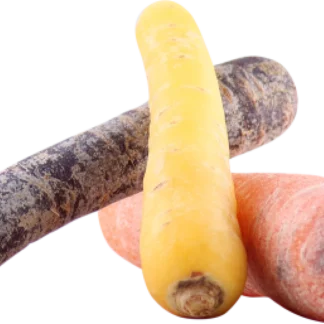 ØKO. FARVEDE RØDDER