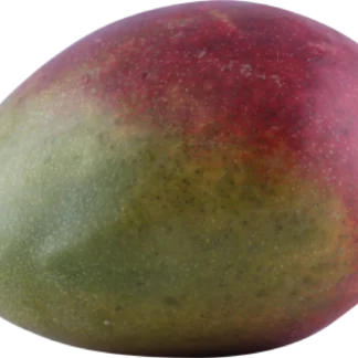 MANGO FORMODNET