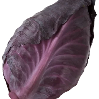 ØKO. RØDE SPIDSKÅL