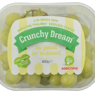 STENFRI GRØNNE DRUER